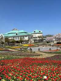 新潟の魅力を一度に満喫。新潟ふるさと村で心豊かな旅を🌾