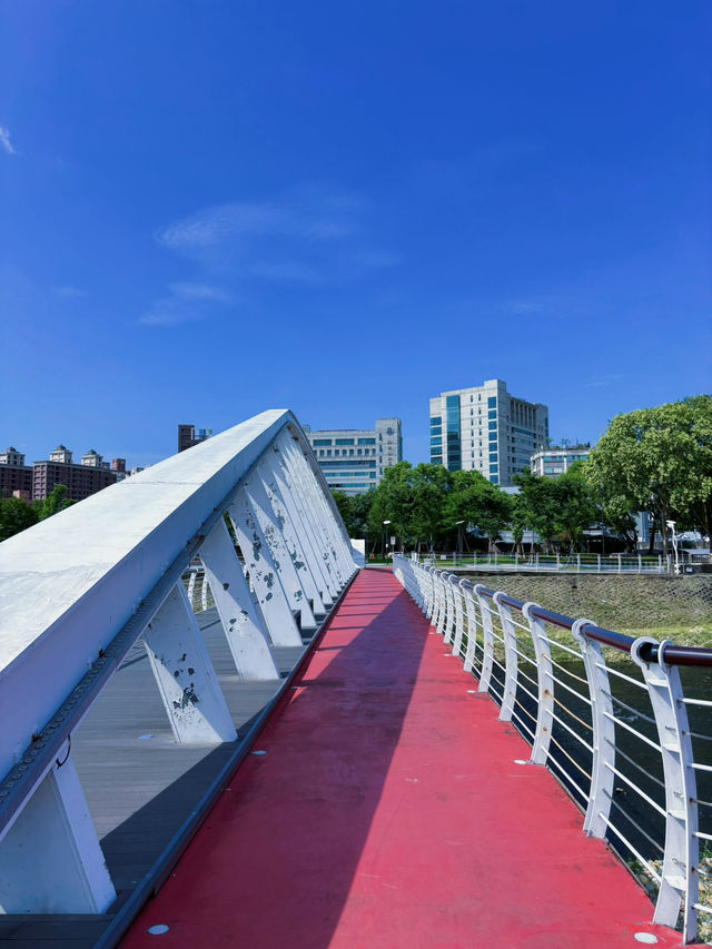 🌳 桃園三民運動公園｜城市裡的綠意呼吸，親子放電與運動愛好者的天堂