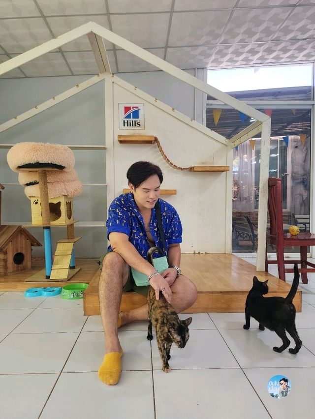 ศูนย์อนุรักษ์แมวไทยโบราณ
