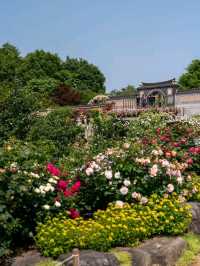 Hanging Out at Jeonju Arboretum