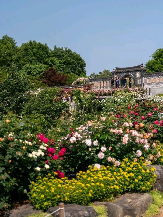 Hanging Out at Jeonju Arboretum