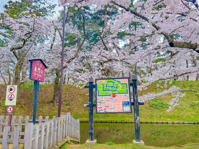 ปราสาทฮิโรซากิ (Hirosaki Castle / 弘前城)