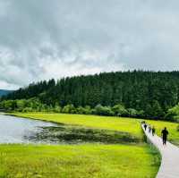 Find tranquility trekking through nature’s beauty