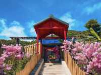 在花蓮山海之間 遇見最溫柔的動物樂園