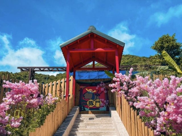 在花蓮山海之間 遇見最溫柔的動物樂園