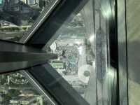 The Top of Shenzhen at the Ping An Finance Centre