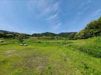 【里山で深呼吸🌿】かなたけの里公園で自然とふれあう休日を