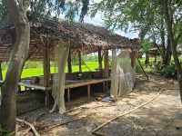 อิ๊กซ์ฟอร์เรสเต้ (ix foreste’) ร้านในป่า ริมถนนใหญ
