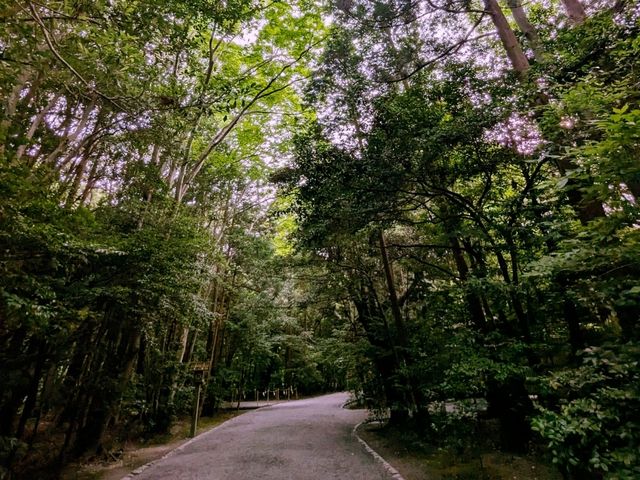 伊勢 | 伊勢神宮外宮---豊受大神宮