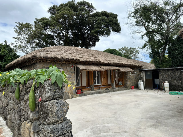 🏡一腳踏進濟州古代生活現場！《城邑民俗村》：這不只是村落，是一座活著的歷史博物館！🌾⛰️