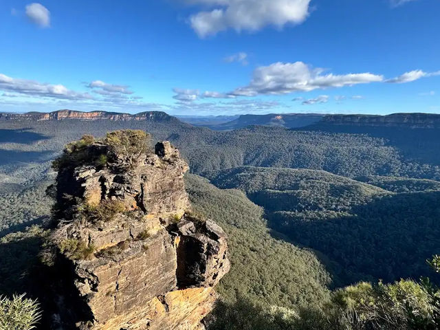 🏞️【青い霧に包まれる絶景】ブルー・マウンテンズで深呼吸する旅