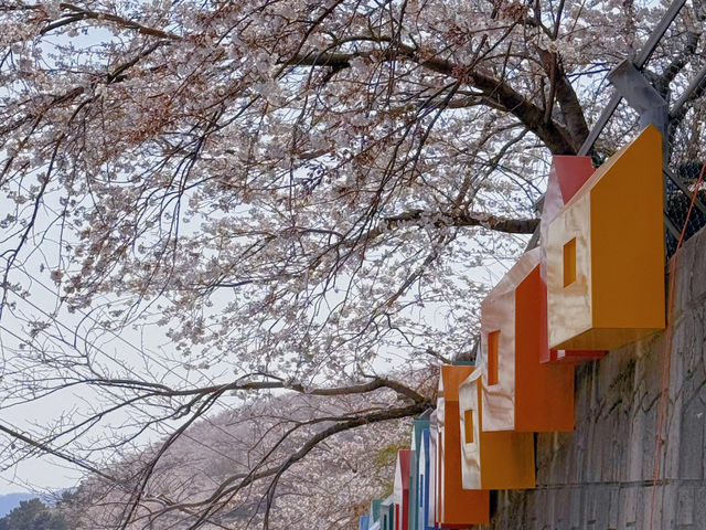 Busan's 192 Steps of Happiness + Gamcheon Culture Village: My Summer Adventure! 🌸🪜