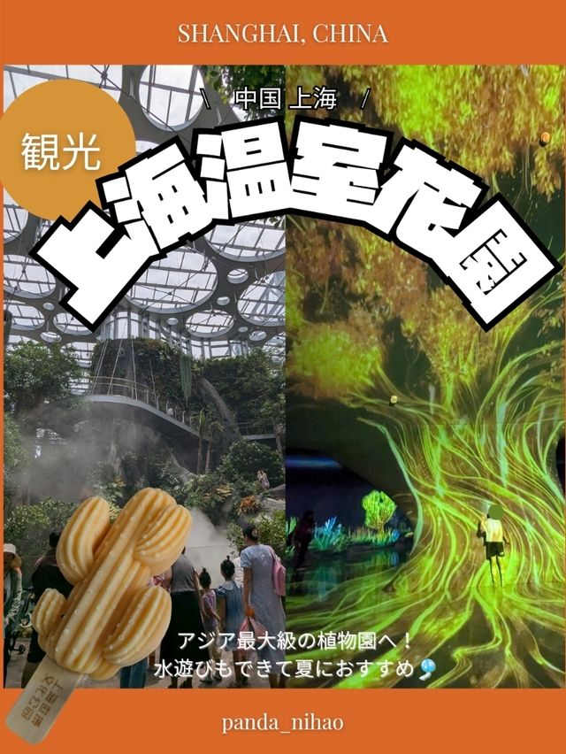 🇨🇳アジア最大級の植物園へ