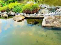 The impressive awe-inspiring Reflection Pond