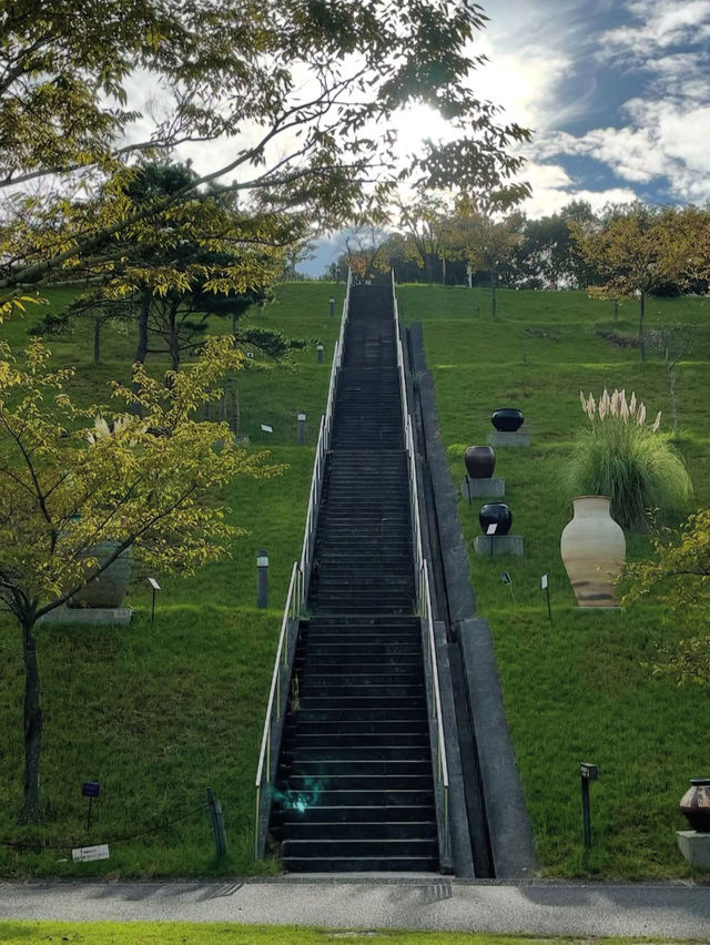 【アートと自然が融合する森🌳】滋賀県立陶芸の森で創造力を刺激する旅🖌️✨