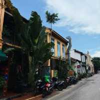 Strolling through Jonker Walk World Heritage Park