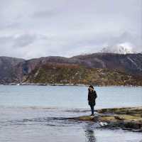 Daytime Delight: A Sommarøy Sojourn