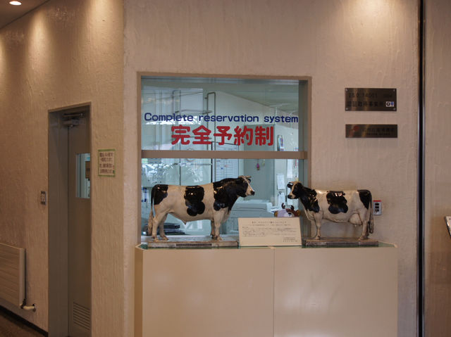 🥛 Tasty and Educational Fun at Megmilk Snow Brand Factory