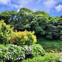 頂湖社區-草山瀑布-猴崁水圳步道-竹子湖歡樂行