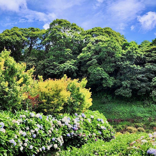 頂湖社區-草山瀑布-猴崁水圳步道-竹子湖歡樂行