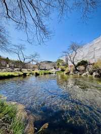 Day Trip Fuji Japan