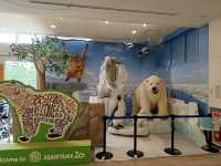 旭川巴士2日遊-常磐公園，旭山動物園