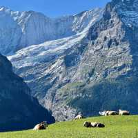 Grindelwald First – Trottibike & Zipline
