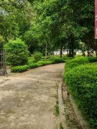 Taman Jepun Ipoh – A Hidden Japanese-Inspired Gem in the City