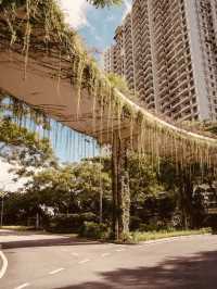 Forest City, Johor: A Solo Futuristic Escape – Where Green Meets Urban Utopia