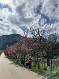 Day Trip to Chiang Mai