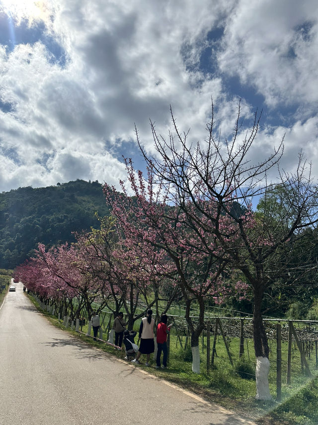 Day Trip to Chiang Mai