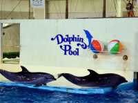 🐧 A Whimsical Day at Noboribetsu Marine Park Nixe