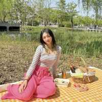 날씨 좋은 날 월드컵공원 피크닉🧺 어때요?
