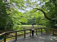 日本淨化漫行，伊勢神宮之旅。