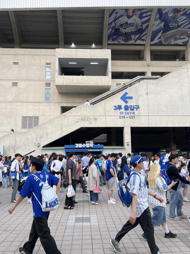 야알못도 반한 대구 야구장! 블루존 vs 스카이석 어디가 더 좋을까?