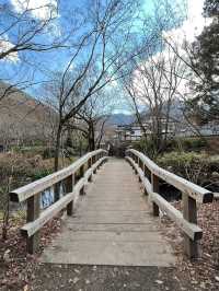 九州行程 阿蘇火山國家公園 草千里公園