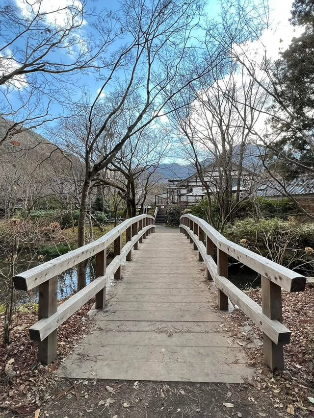 九州行程 阿蘇火山國家公園 草千里公園
