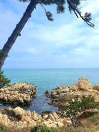 산과 바다를 동시에 즐길 수 있는 울산의 공원☘️