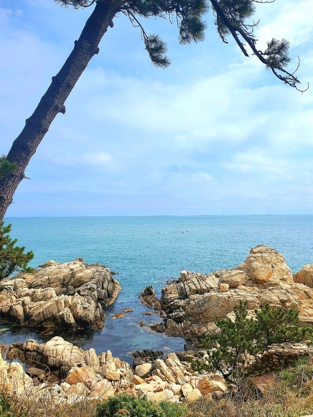 산과 바다를 동시에 즐길 수 있는 울산의 공원☘️