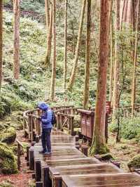 Alishan House