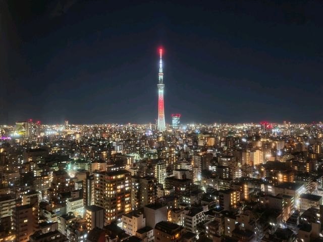도쿄감성 다이이치 호텔 료고쿠(Daiichi Hotel Ryogoku) 프리미엄 더블룸 스카이트리뷰
