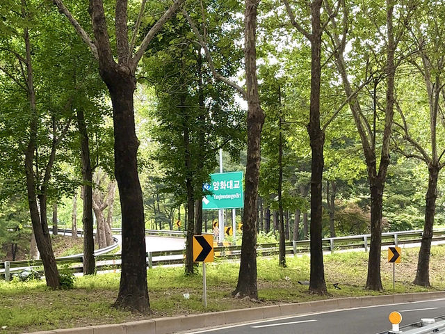 돗자리 하나면 충분해! 양화한강공원 피크닉💚