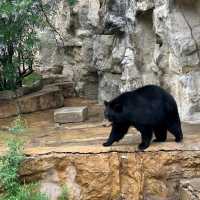 San Antonio Zoo