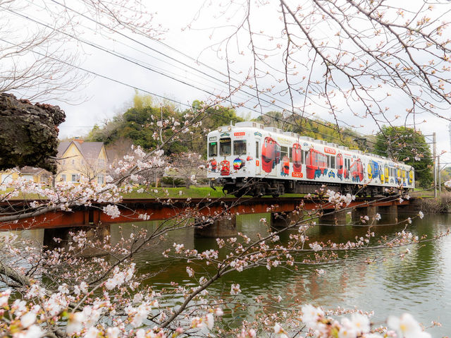 📍和歌山-貴志貓貓列車