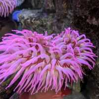 Dallas World Aquarium