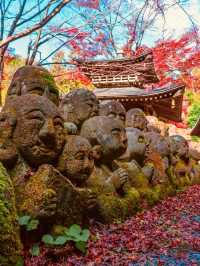 Summer Visit to Otagi Nenbutsuji Temple (愛宕念仏寺) – Kyoto’s Whimsical Stone Buddha Haven** 🗿🌿