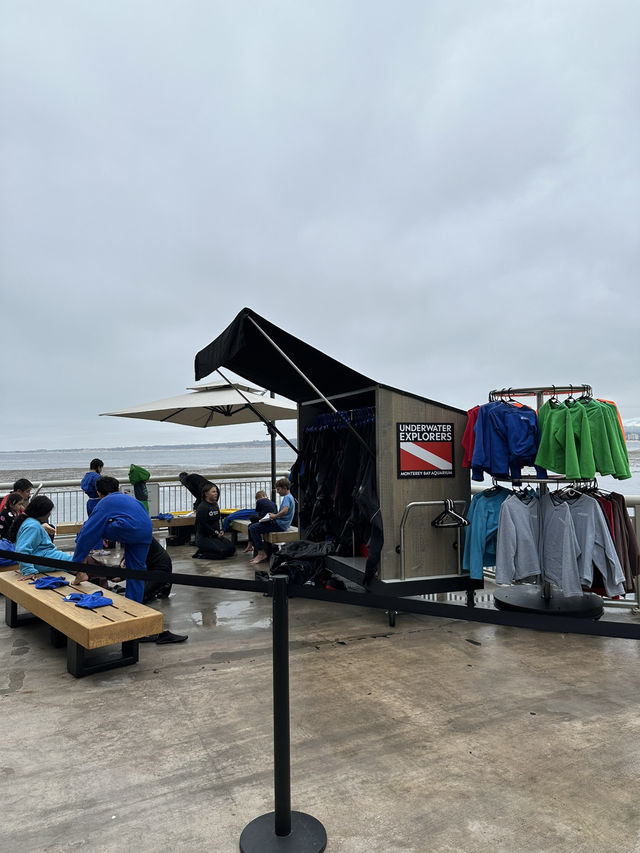 海底總動員取景靈感 | Monterey Bay Aquarium 蒙特雷灣水族館🐟