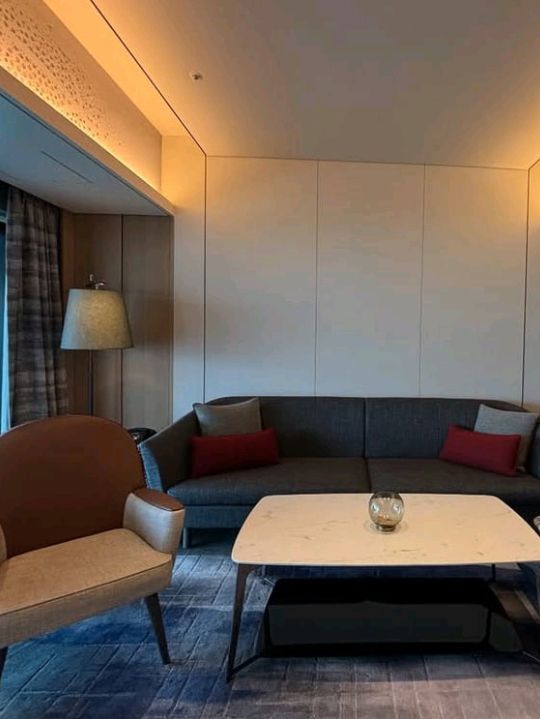 🏨 Mesm Tokyo – Where Art, Rhythm & the Bay Breathe as One 🎶🌊