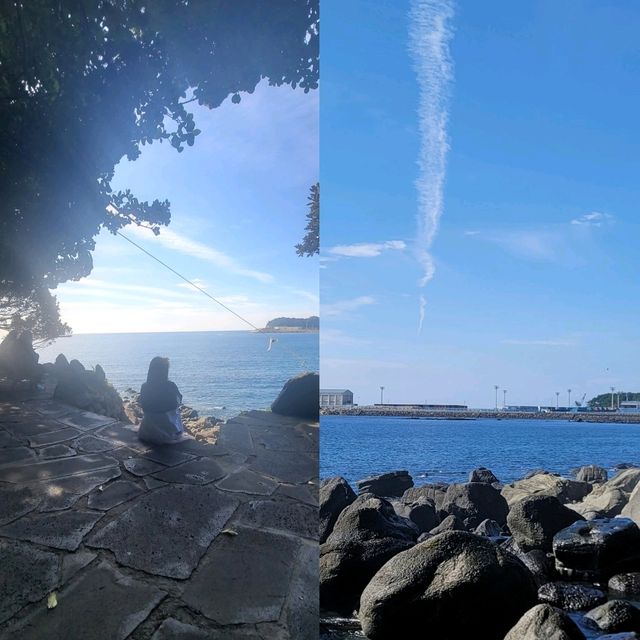 서귀포 폭포 보러 갔다온 일