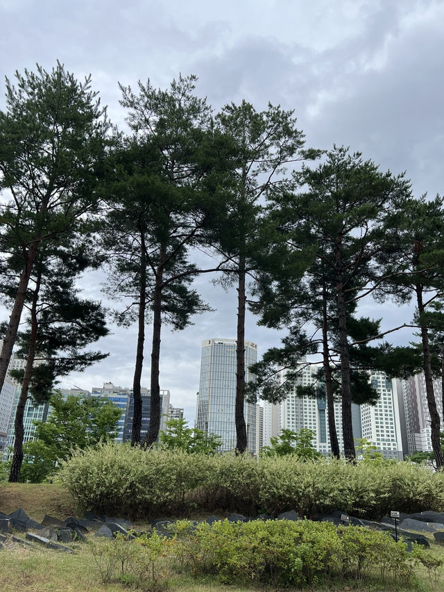 작품들과 함께한 미사호수공원